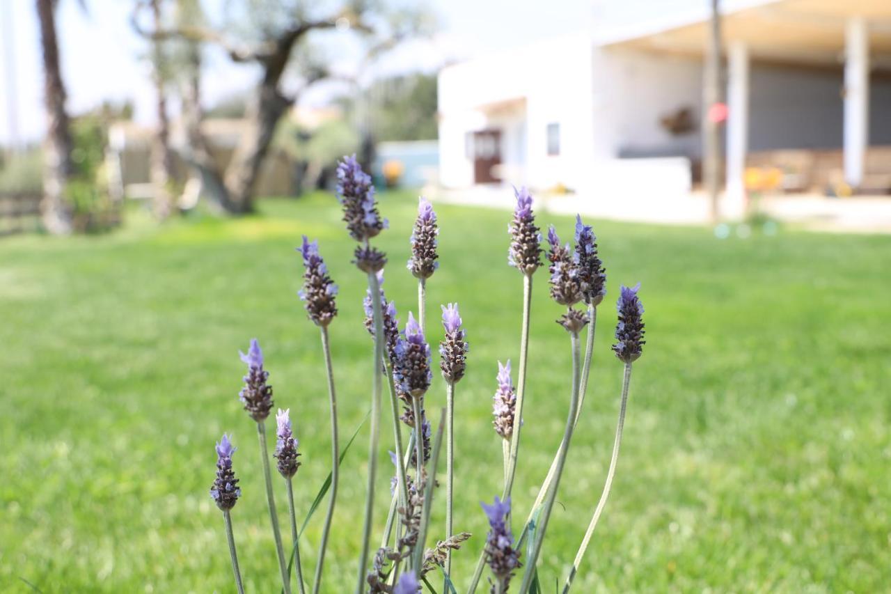 La Finestra Del Delta Guest House Л'Ампола Екстериор снимка