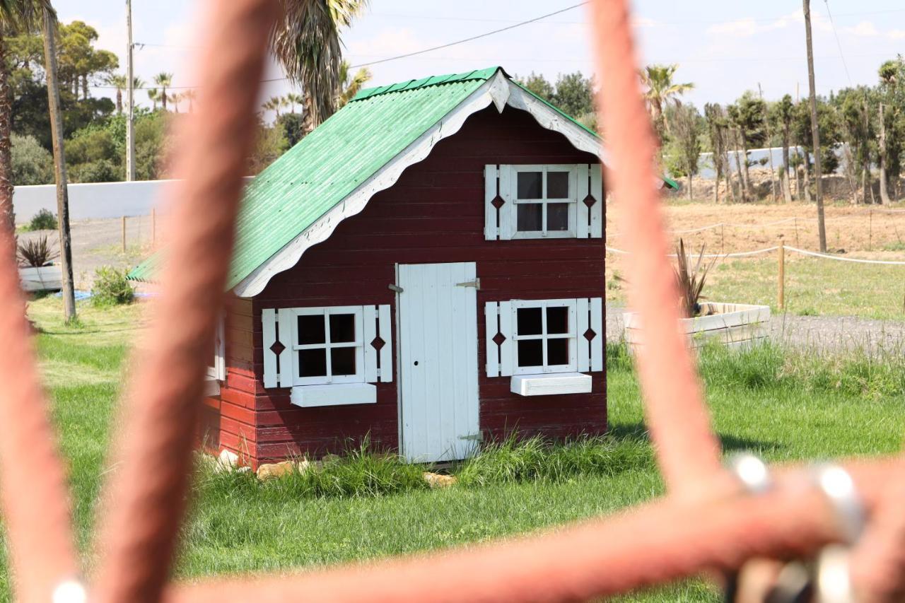 La Finestra Del Delta Guest House Л'Ампола Екстериор снимка