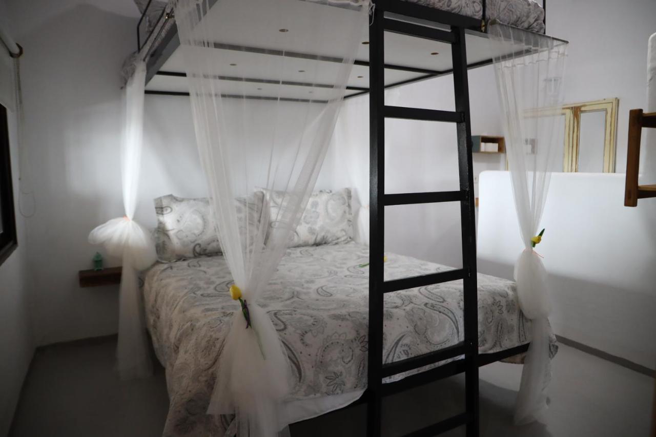 La Finestra Del Delta Guest House Л'Ампола Екстериор снимка